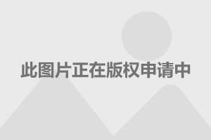  重大通报“蒲花大菠萝有辅助吗”详细教程辅助工具一知乎