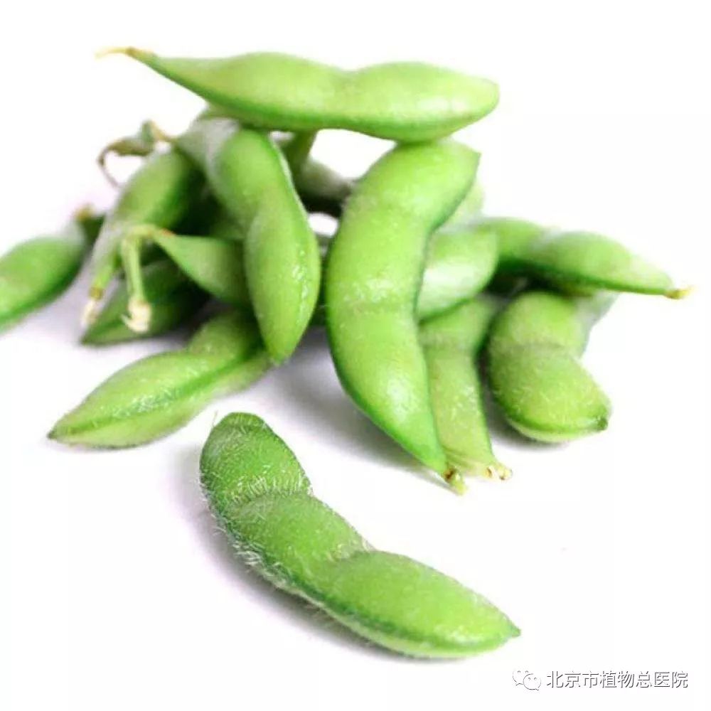  终于找到“毛豆大厅有没有挂”分析辅助教程
