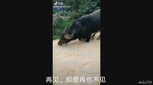 给大家科普下“新全民牛牛真的有挂吗”!其实有挂-知乎