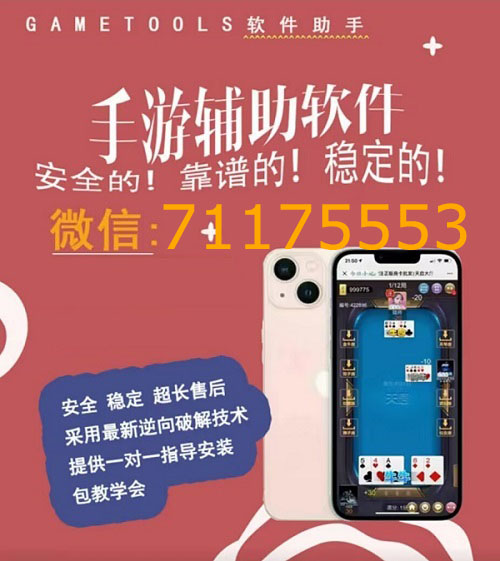 安装程序教程！白金岛有万能挂吗(有挂技巧辅助器)