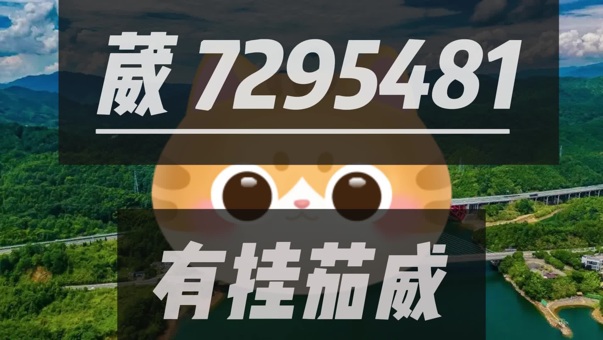 详细说明“打麻将神器手机版免费下载”-太坑了原来有挂