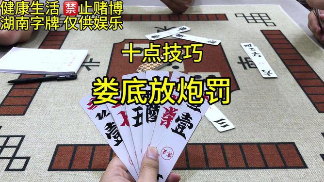 给大家爆料一下农村押宝必赢技巧禁忌一《我来教教你怎么赢 》