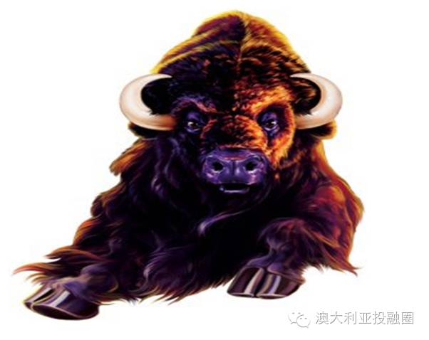 闲逸斗牛规律（闲闲斗牛怎么开挂）