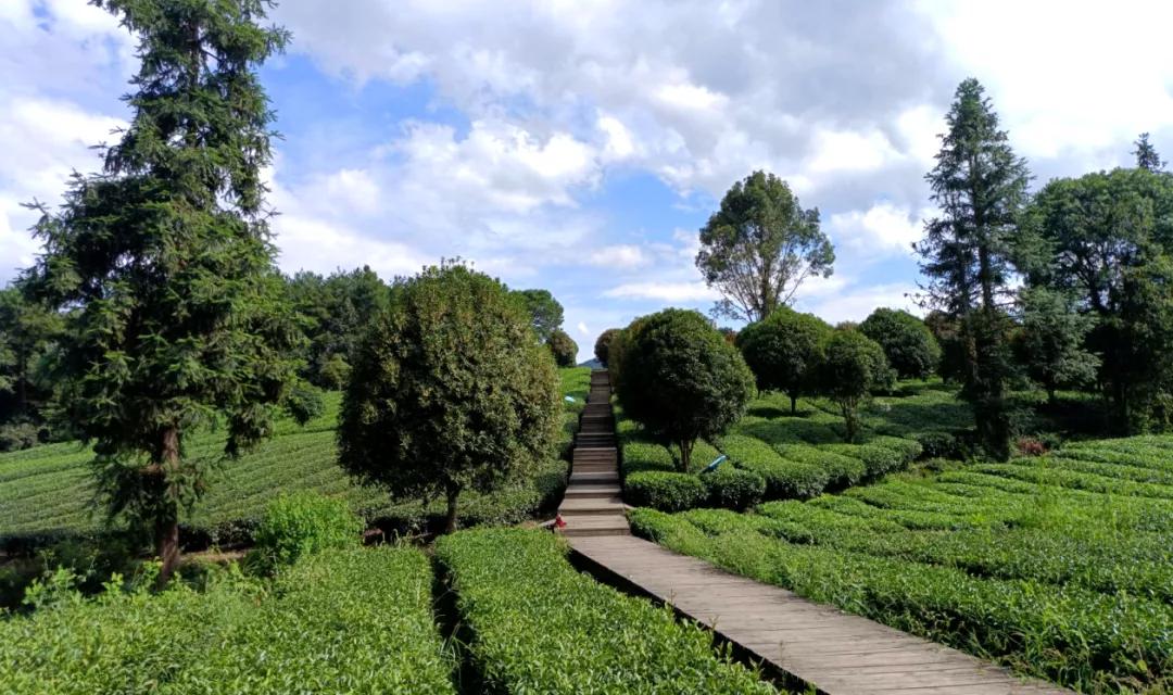 炸金花做挂（炸金花有没有挂 多少钱）