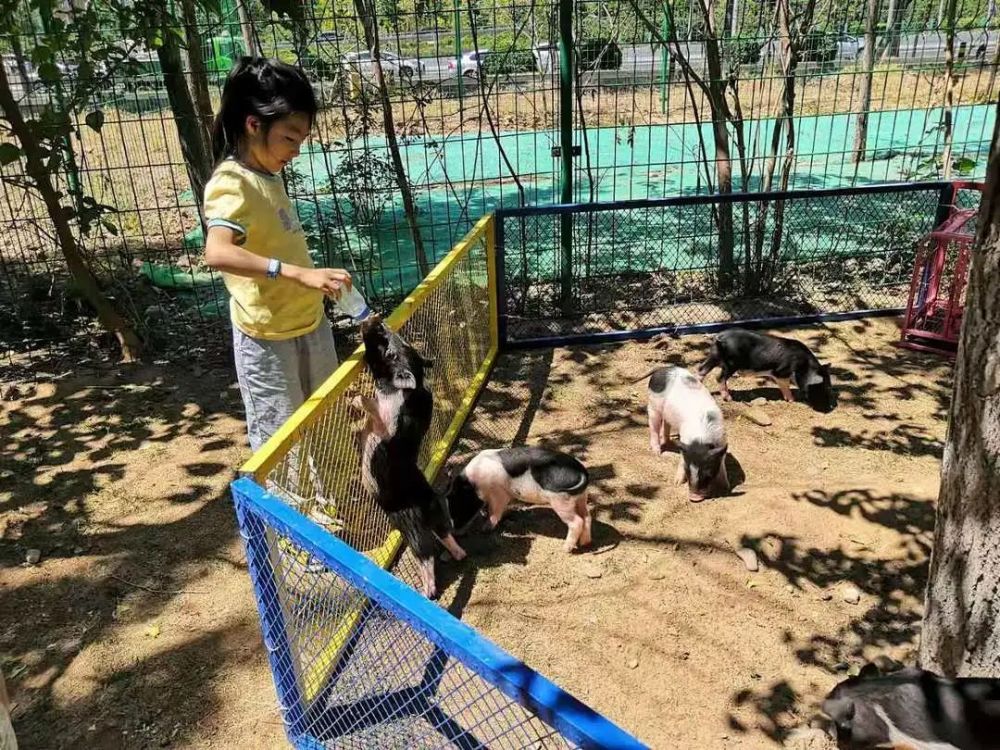 麻将馆适合挂什么图片好（麻将馆适合挂什么图片好看）