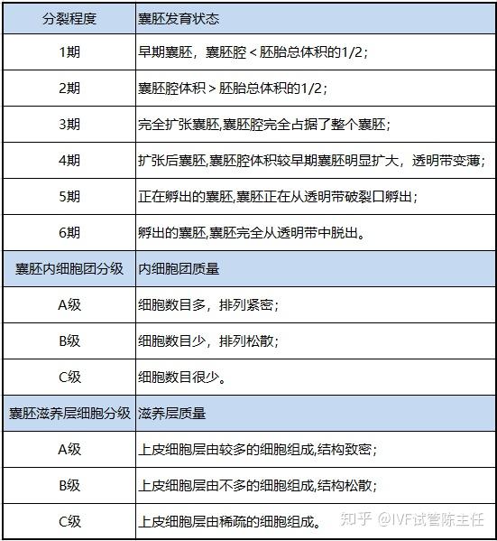 中至有辅助吗（中至是什么意思）