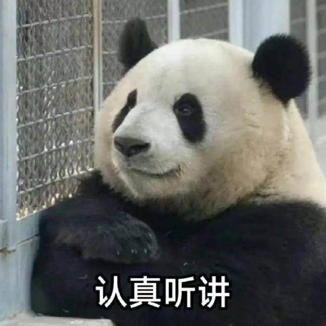 四川凉山熊猫挂树枝上（熊猫挂在树上表情包）