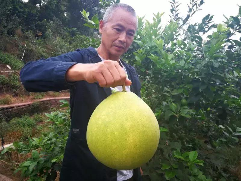泸州天天麻将开挂（天天泸州麻将安卓版）