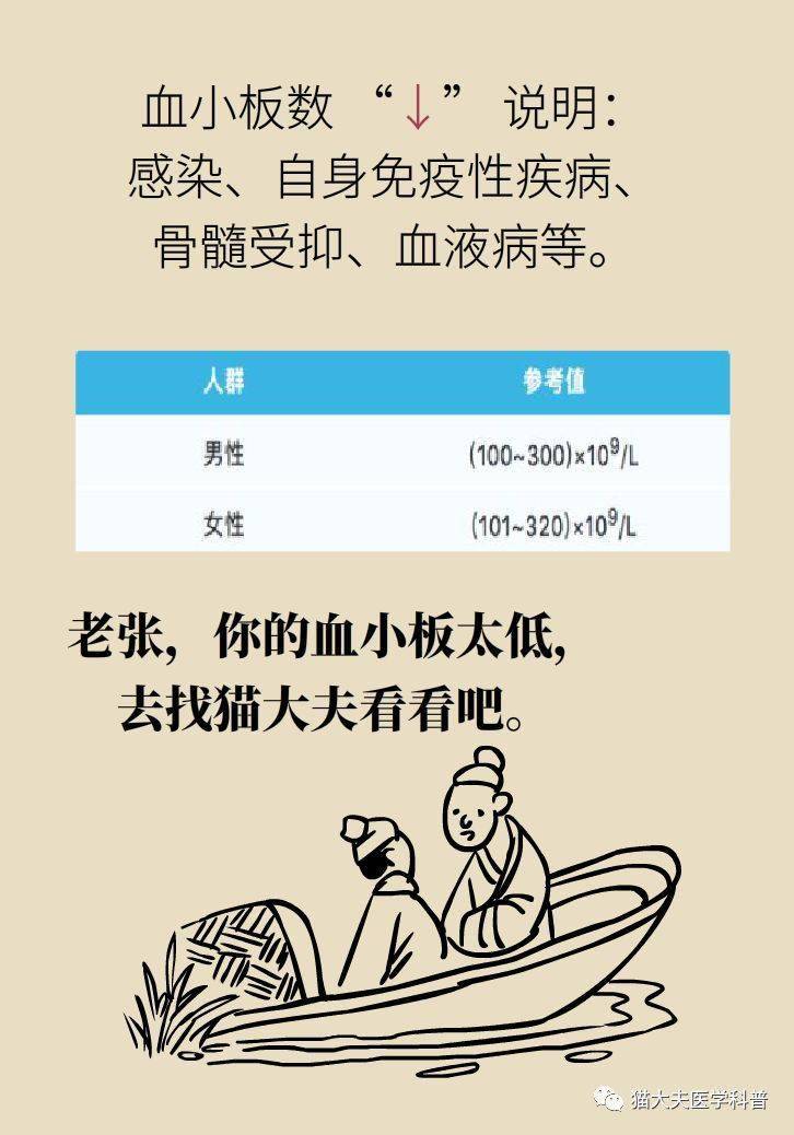 3分钟教你科普“扑克三公怎么能赢?—详细解说+新浪科技