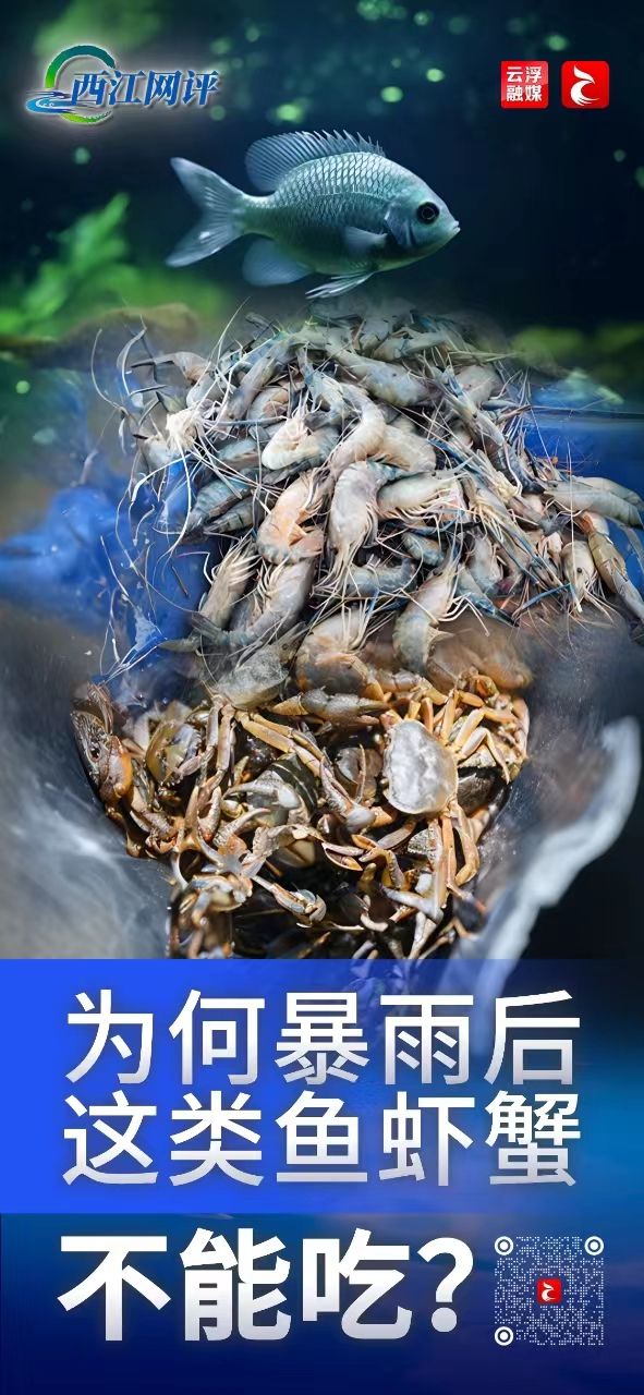 一分钟教你“赌鱼虾蟹有什么诀窍吗—详细解说+黑科技 “推荐8个购买渠道