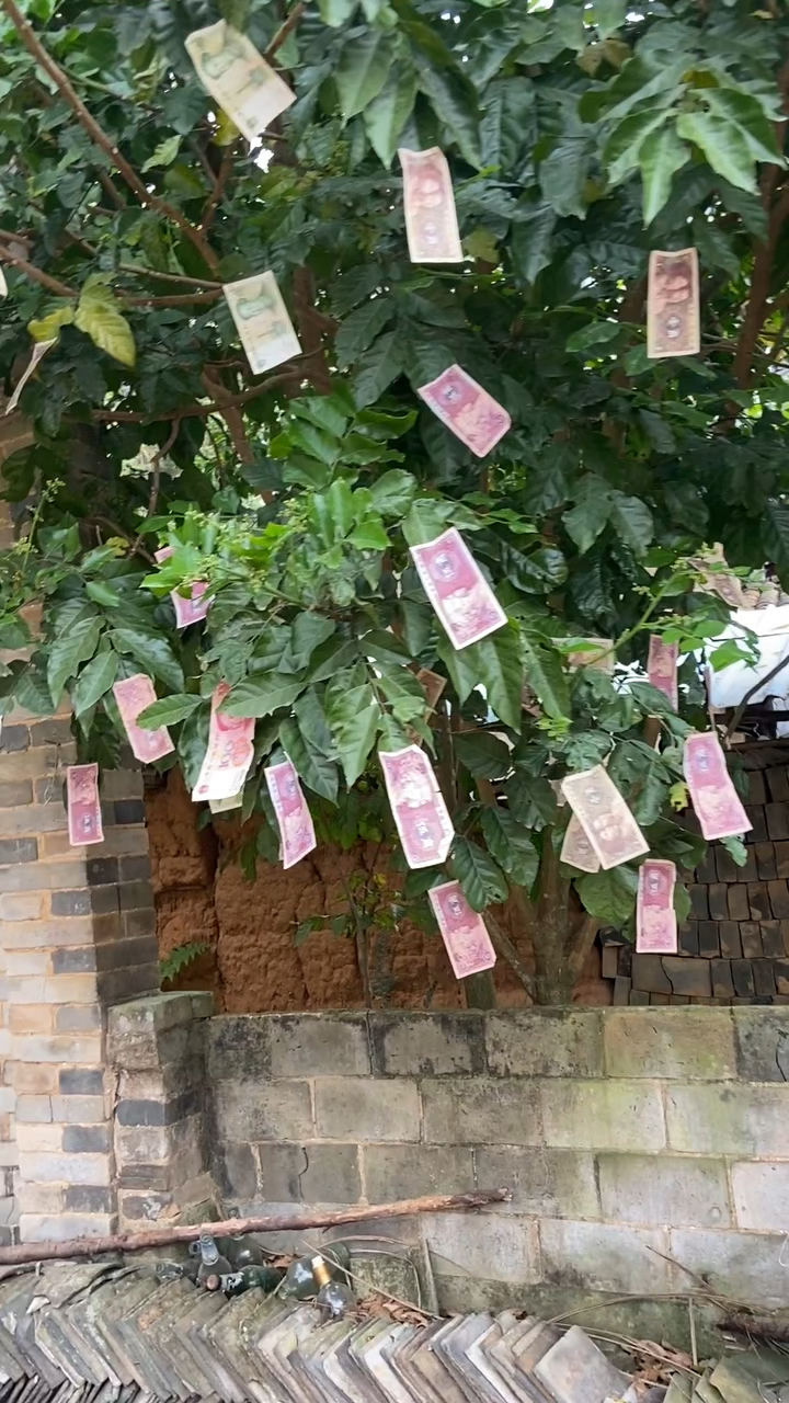 钞票摇钱树的挂法（摇钱树怎么挂百元钞）