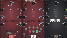 详细说明“hhpoker会不会”(确实是有挂)-哔哩哔哩