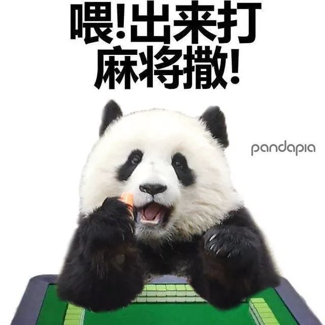 厉害了!熊猫麻将怎样开挂!其实确实有挂