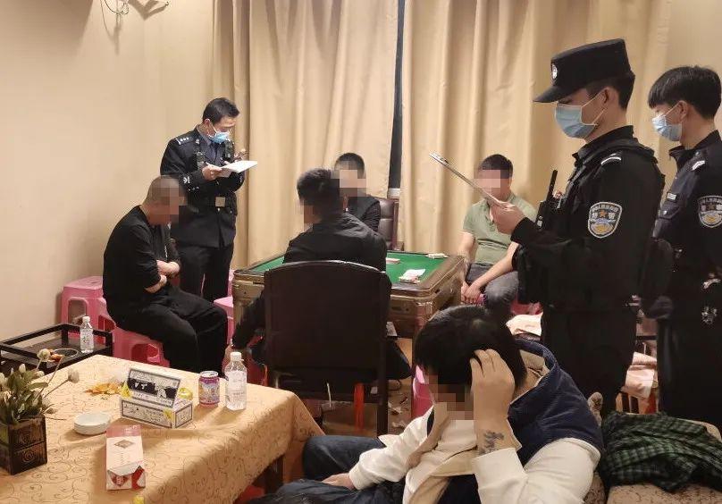 火爆全网!普通扑克牌斗牛道具“推荐6个购买渠道