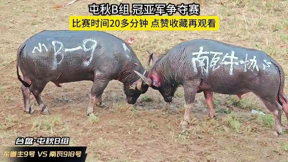 一分钟教你“微信链接斗牛可以开挂吗”(确实是有挂)-哔哩哔哩