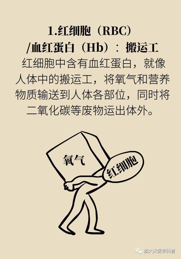 3分钟教你科普“微乐沧州麻将怎样才赢钱-哔哩哔哩 