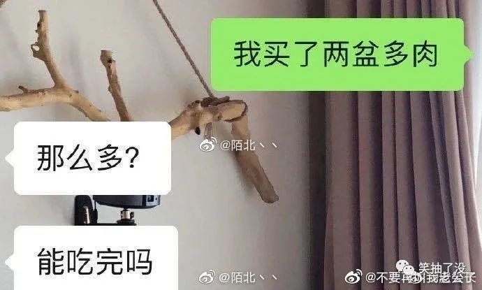 我来教教大家“怎么才能直接看穿杯碗 一《我来教教你怎么赢 》
